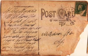 dog postcard: Now They'll Blame Me