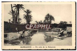 Old Postcard A Corner Marrakech Palmeraie