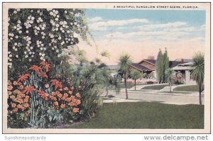 Florida Daytona A Beautiful Bungalow Street Scene 1921