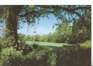 Hampshire Postcard - Runnydown Copse - Bishop's Waltham - Ref 9758A