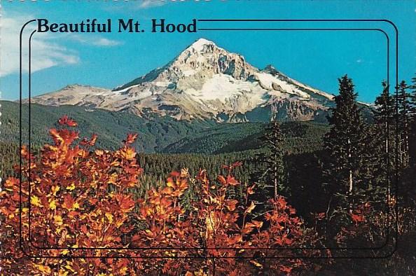 Washington Mount Hood Beautiful Mount Hood