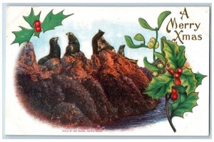 Christmas Postcard Seals At The Rocks Pacific Ocean Holly Berries Mistletoe