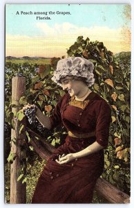 Vintage Postcard A Peach Among the Grapes Pretty Woman Picking Fruits Florida FL