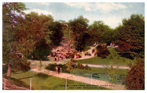 New York  Zoological Park  View from Mountain Sheep Hill