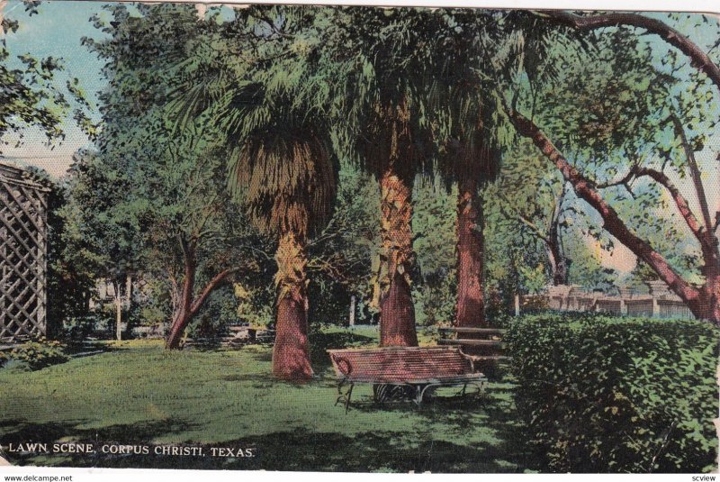 CORPUS CHRISTI, Texas, PU-1914; Lawn Scene