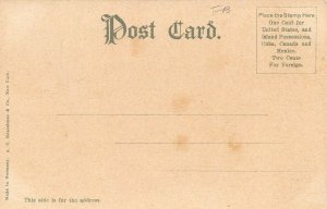 LP68   Cedar Point Amusement Park    Ohio Postcard  White House