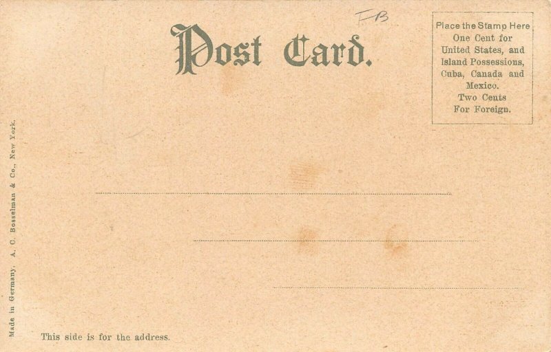 LP68   Cedar Point Amusement Park    Ohio Postcard  White House