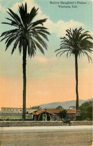 Postcard 1946 California Ventura Native Daughters Palms Brakey CA24-3431