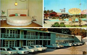 Postcard AL Gadsden Holiday Host Motel & Restaurant - Classic Cars 1960s J2