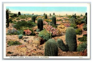 Devils Cafctus Garden Palm Springs California CA UNP WB Postcard C20