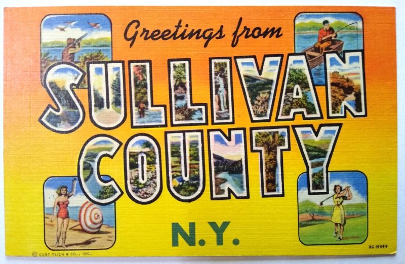 Greetings From Sullivan County New York Large Letter Postcard Linen Curt Teich