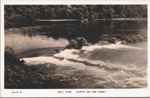 Egypt Nile View Hippo On Far Bank Vintage RPPC 09.11