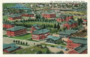 Postcard University of Montana Missoula Montana