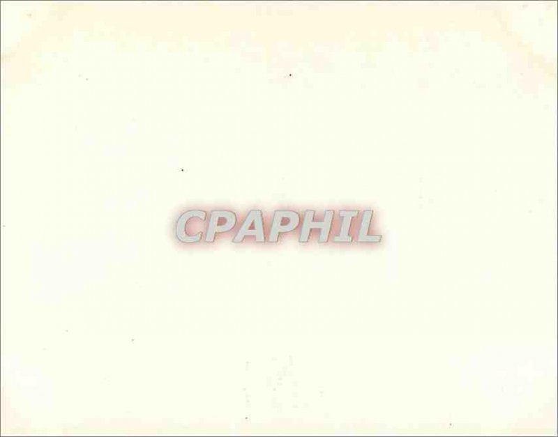 Postcard Modern Long Walk Windsor Castle