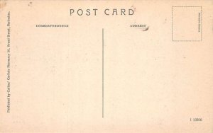 Barbados Caribbean Studying Sugar Cane Vintage Postcard AA109400