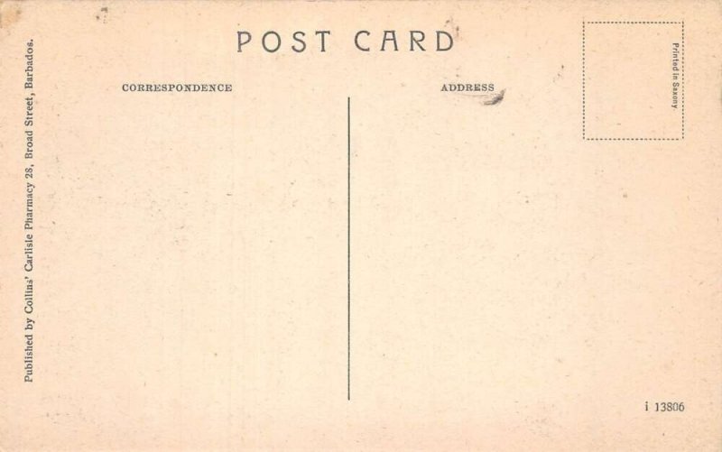 Barbados Caribbean Studying Sugar Cane Vintage Postcard AA109400