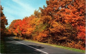 Autumn Skyline Drive Shenandoah National Park VA Virginia Fall Scene Postcard