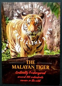 [AG] P955 Malaysia Save The Malayan Tiger 2010 Wildlife Big Cat (postcard) *New