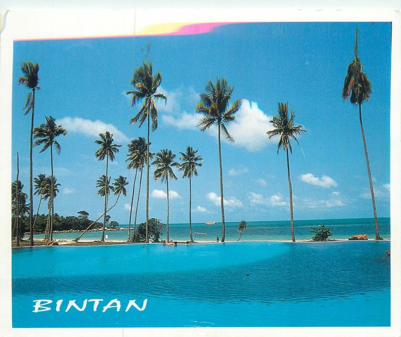 Postcard Asia Indonesia Bintan Coconut blue 1999 tropical paradise