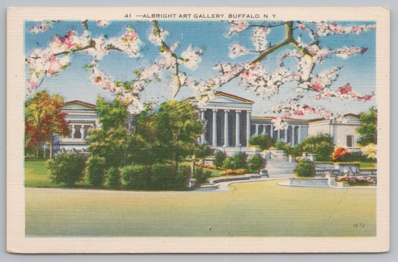 Buffalo New York~Albright Art Gallery~Cherry Blossom Trees~Vintage Postcard 