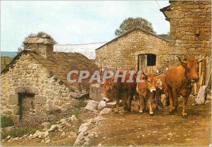 Modern Postcard The Lozere Picturesque Farm built in Granite hitch bufs