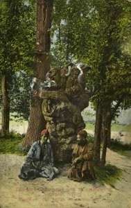 uzbekistan russia, TASHKENT, Sacred Tree Trunk in Cemetery of Old Town (1910s)