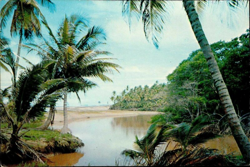 JD0030 trinidad tobago west indies mayaro beach river mounth palm tree carribean
