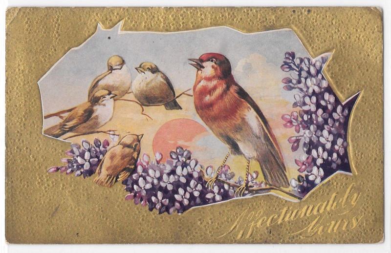 Vintage Old Postcard Affectionately Yours Birds with Lilacs Gold 1911 Four Bar