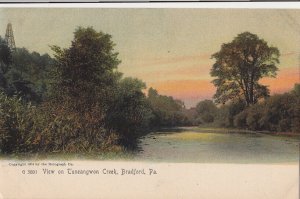 Postcard View Tuneangwon Creek Bradford PA