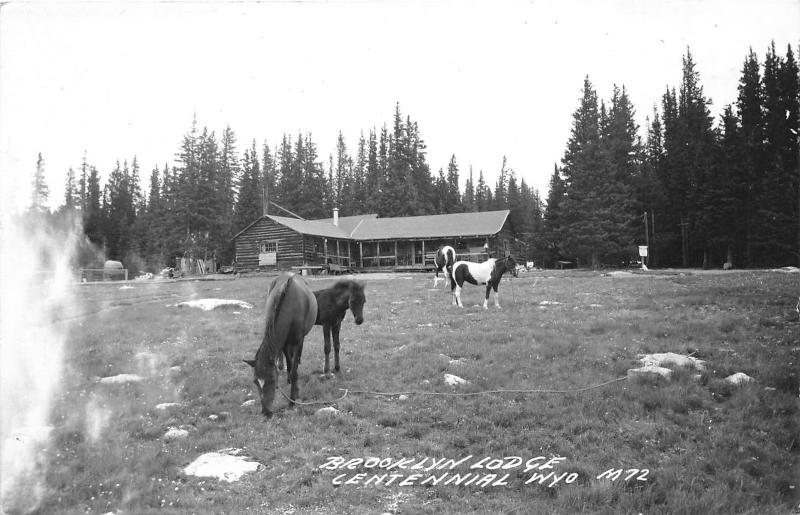 Centennial Wyoming~Brooklyn Lodge~Horses on Ropes Grazing in Meadow~1957 RPPC