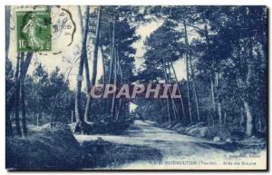 Old Postcard Island Normoutier Allee of Sighs