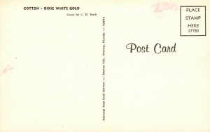 Vintage Postcard Ready for Pickin' Cotton Dixie White Gold 