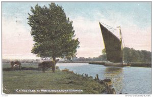 NORWICH, Norfolk, England, United Kingdom; On the Yare at Whitlingham, Sail B...