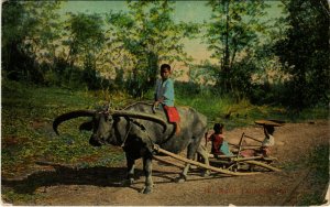 PC CPA PHILIPPINES, RURAL TRANSPORTATION, Vintage Postcard (b19091)