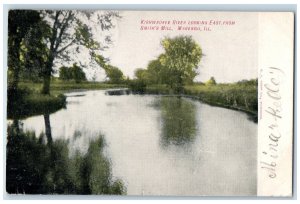 1908 Kishwaukee River Looking East From Smith's Mill Scene Marengo IL Postcard