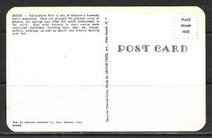 Wyoming, Yellowstone - Greetings From - [WY-071]