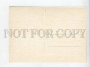 3179385 rhinoceros old postcard