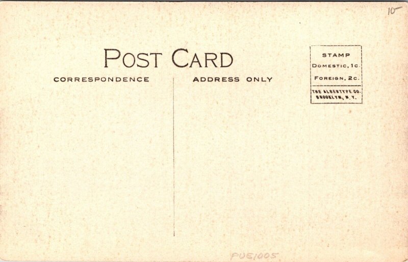 Hand Colored Postcard Skagway, Alaska with Mount Dewey in Distance