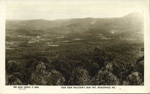 australia, VIC, HEALESVILLE, View from Malleson's Look-Out, Rose Series RPPC (1)