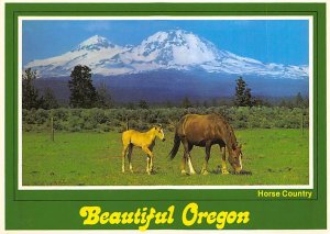 Horse Country Central Oregon, Oregon OR  