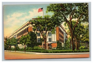 Vintage 1940's Postcard Post University of Michigan Museum Ann Arbor Michigan