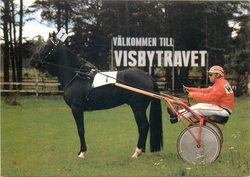 Horse race jockey postcard Skrubbs Travbana Visby