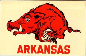 Postcard SCHOOL SCENE Fayatteville Arkansas AR AO1829