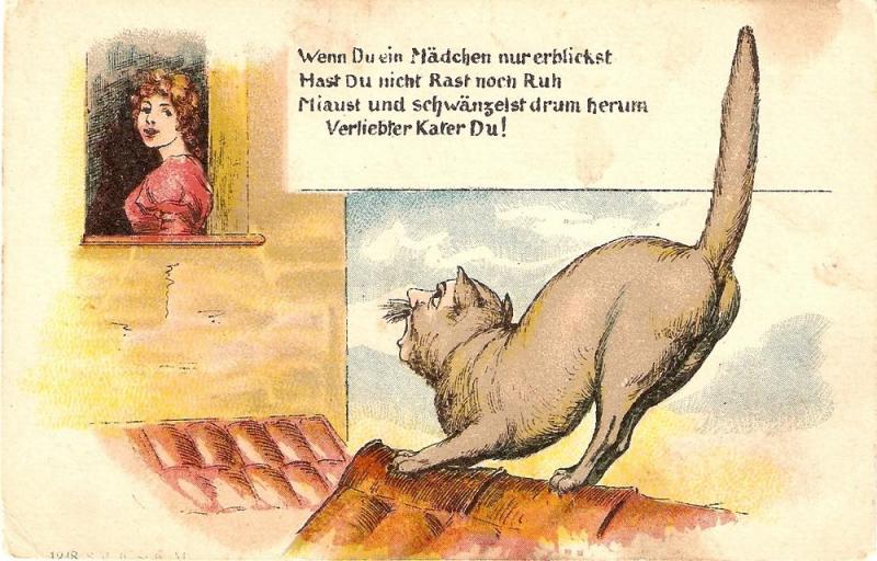 \Cat Serenade\ Amusing German Postcard