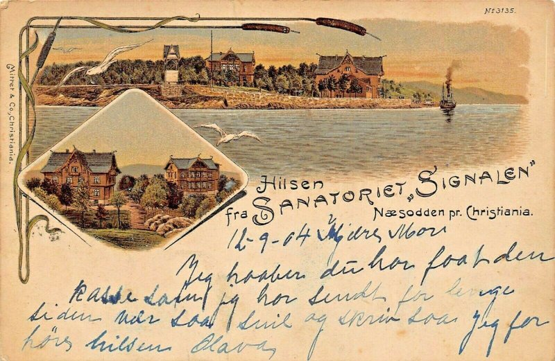 SANATORIET SIGNALEN NORWAY~NAESODDEN pr.CHRISTIANIA~1904 TINTED PHOTO POSTCARD