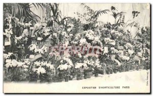 Old Postcard Exhibition Paris D Horticulture Flowers