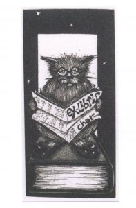 French Antique Cat On Giant Furniture Reading Newspaper Bookplate Postcard