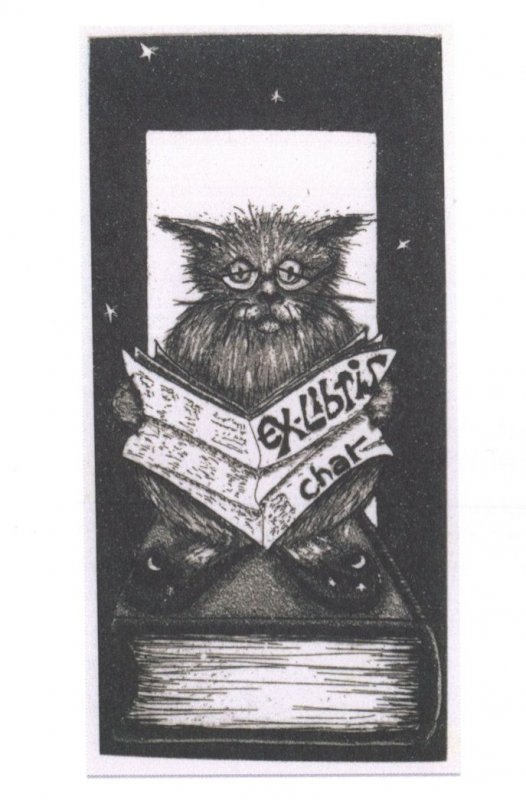 French Antique Cat On Giant Furniture Reading Newspaper Bookplate Postcard