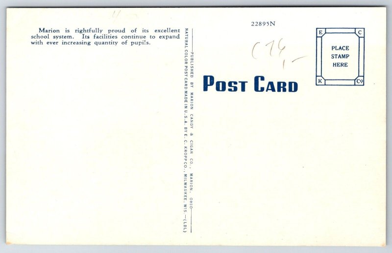 Marion Ohio~Thomas Edison Junior High School~Tree in Grounds 1930s Postcard