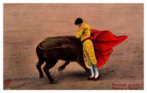 Bull Fighting    Finishing a Rescue